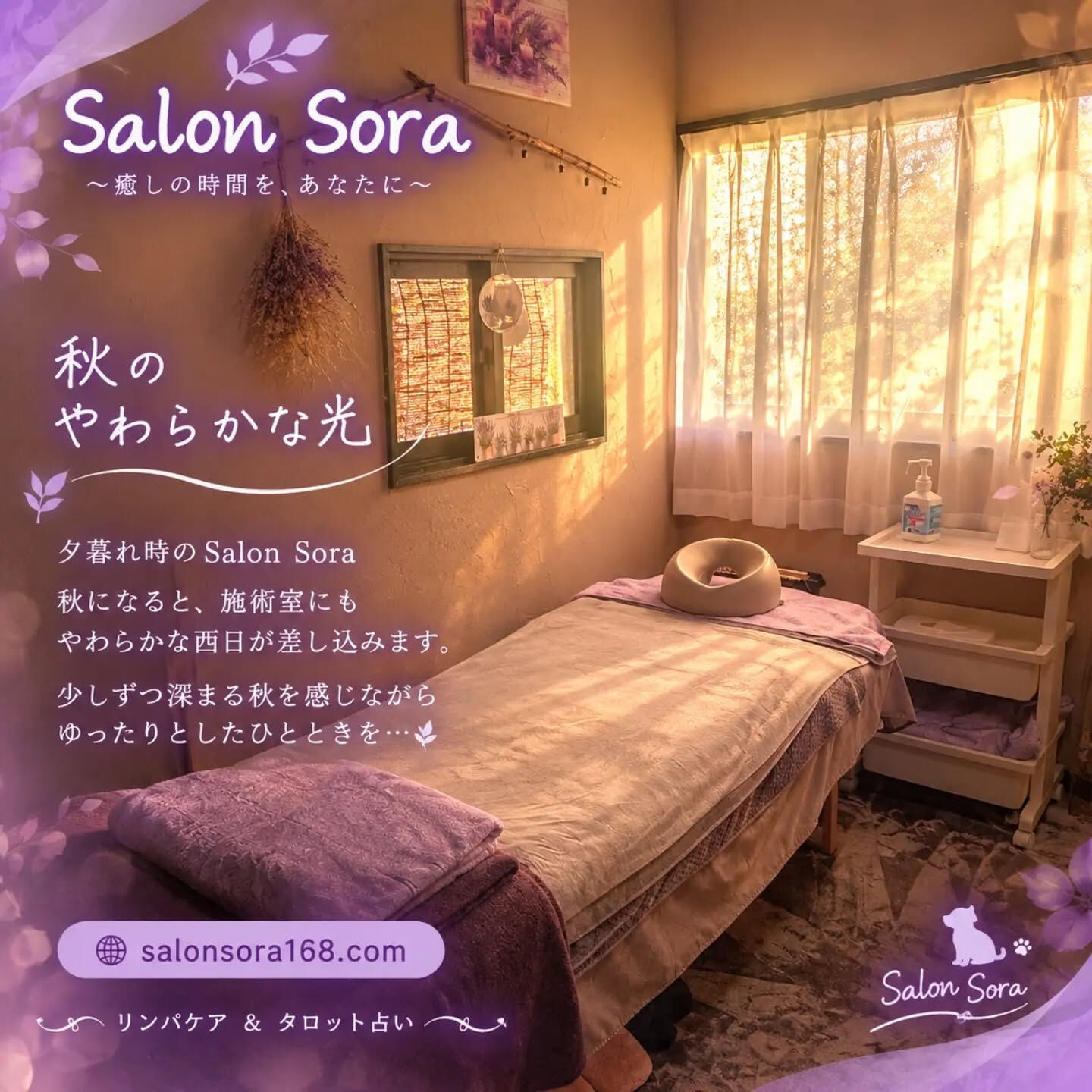 🍂秋のやわらかな光🍂